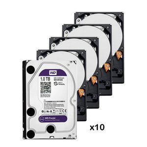 10er-Pack 1-TB-Festplatte (1024 GB) Western Digital Purple