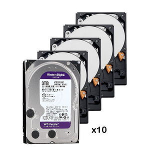 10er-Pack 3-TB-Festplatte (3072 GB) Western Digital Purple